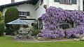 Completely renovated Basque farmhouse