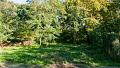 Completely renovated Basque farmhouse
