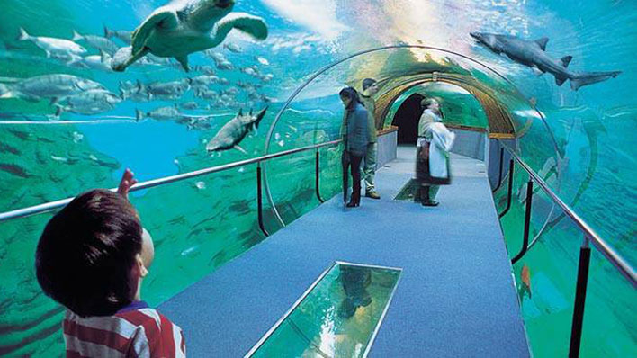 AQUARIUM DONOSTIA