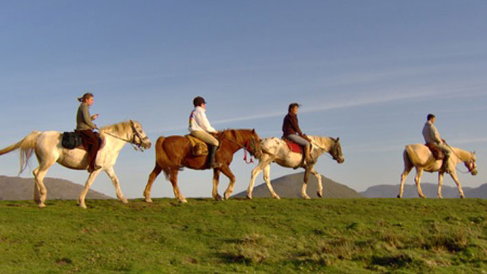 CENTRE EQUESTRE OLHALDEA SARE