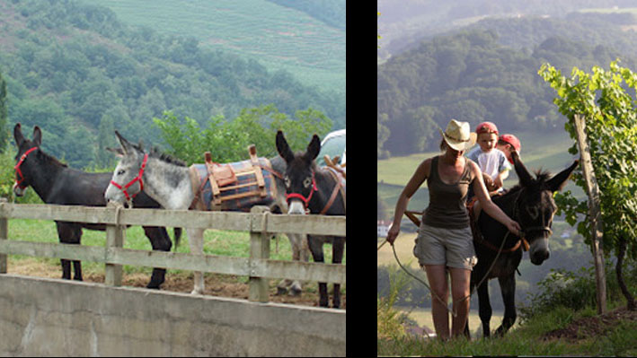 DOMAINE MOURGUY ISPOURE