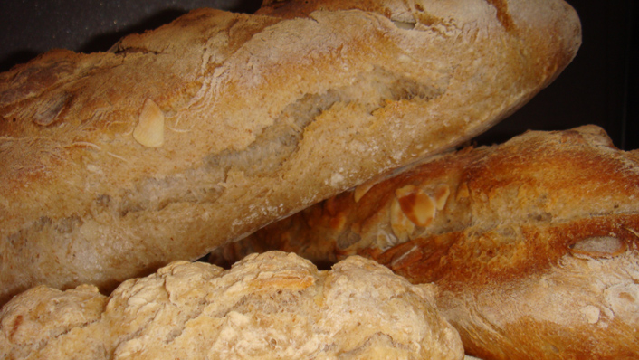 LUZ TOURTIERE