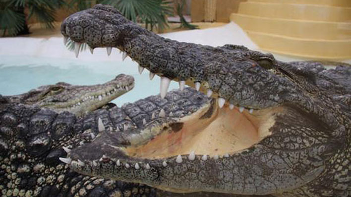 REPTILARIUM LABENNE