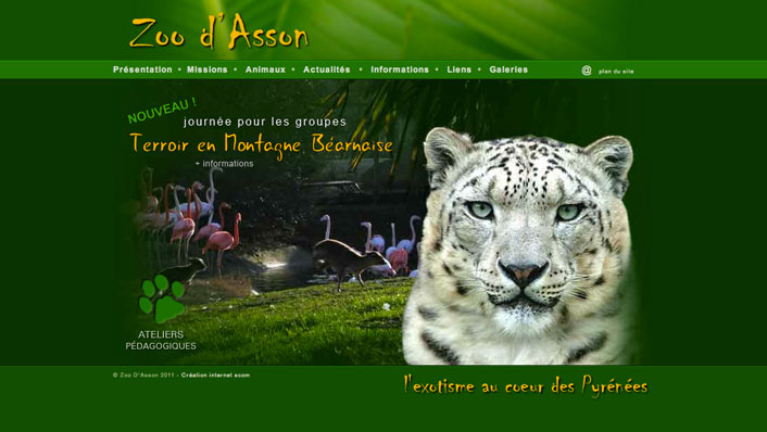 ZOO ASSON