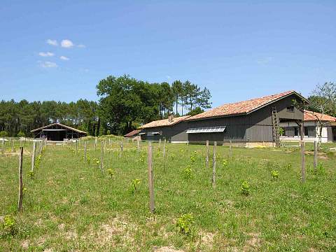DEJA VENDUE PAR NOTRE EQUIPE
