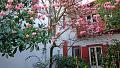 Completely renovated Basque farmhouse
