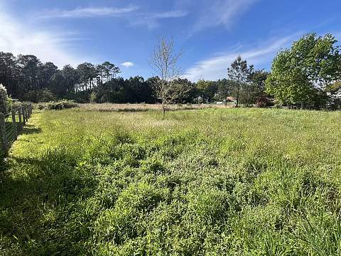 Terrain constructible Tosse