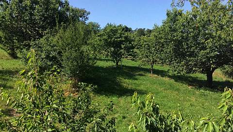 LOHITZUN-OYHERCQ  -   FERME