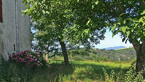 LOHITZUN-OYHERCQ  -   FERME