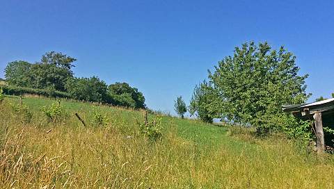 LOHITZUN-OYHERCQ  -   FERME