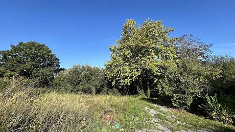 EXCLUSIVITE : Votre future Tiny House à la campagne