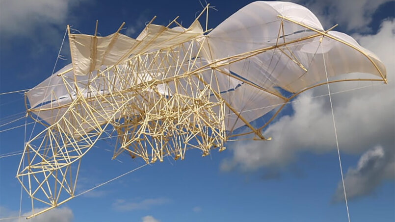 Agenda Mars Avril 2026 Pays Basque & Landes Événements & Art de Vivre – Maisons du Sud-Ouest